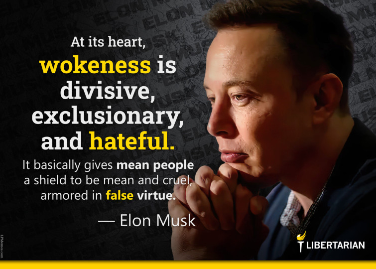 LF1382: Elon Musk – Wokeness is Divisive