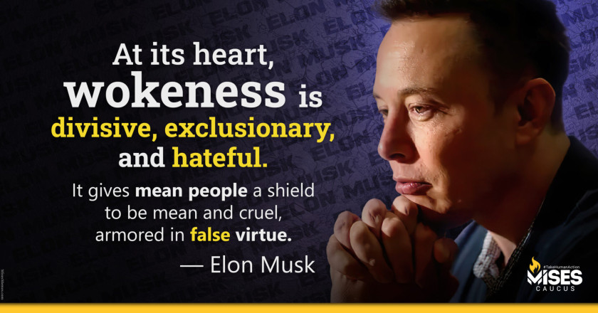 W1382: Elon Musk – Wokeness is Divisive